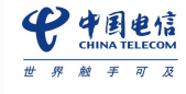 中国电信集团有限公司